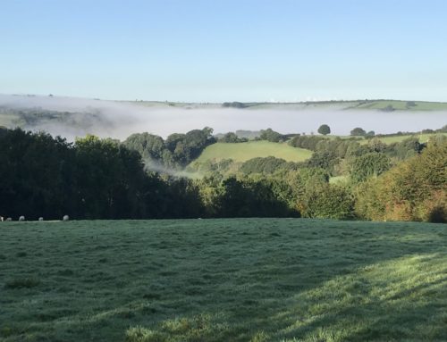 Season of mists and mellow fruitfulness